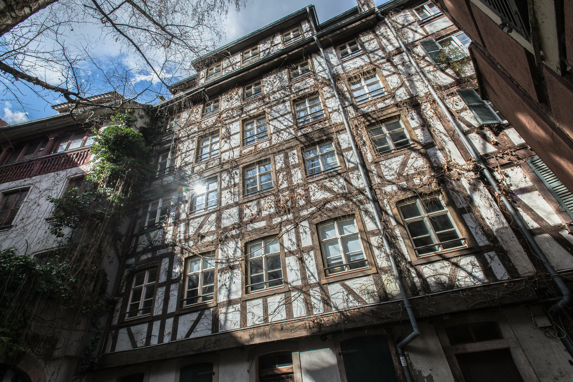 Appartement Des Moulins Страсбург Экстерьер фото